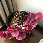 Calea Poienii Penthouse شقة *