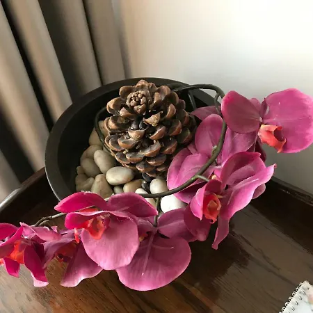 Calea Poienii Penthouse Apartment *