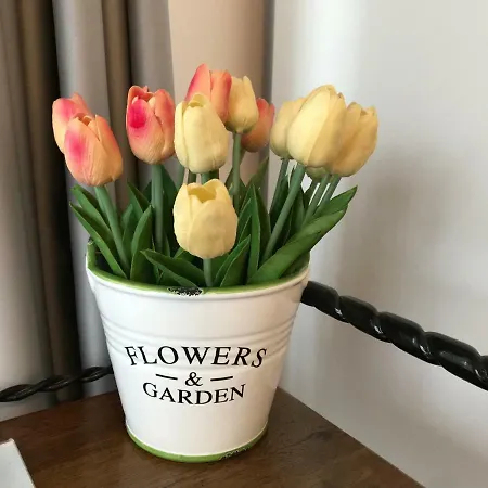 Calea Poienii Penthouse Braşov