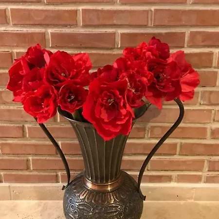 Calea Poienii Penthouse Apartment *