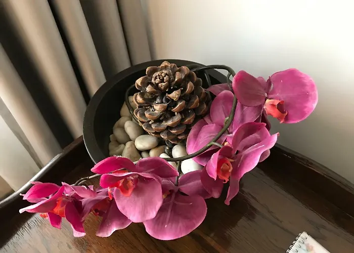 Calea Poienii Penthouse Apartment *