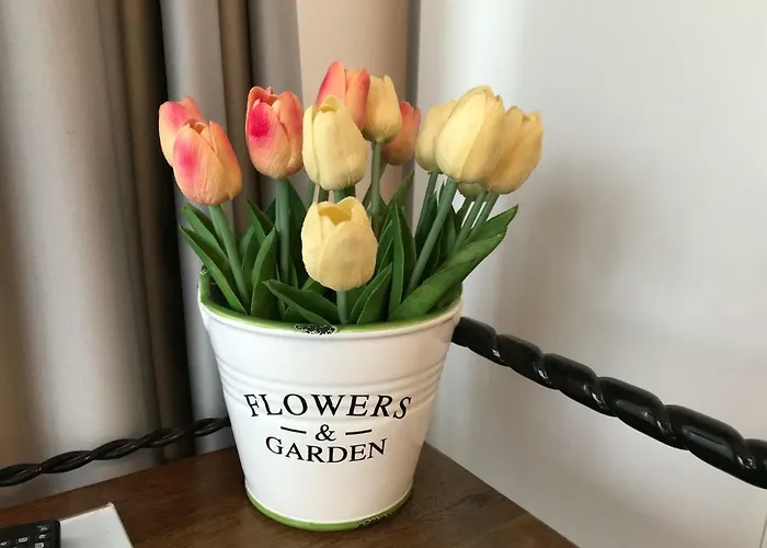 Calea Poienii Penthouse Brasov