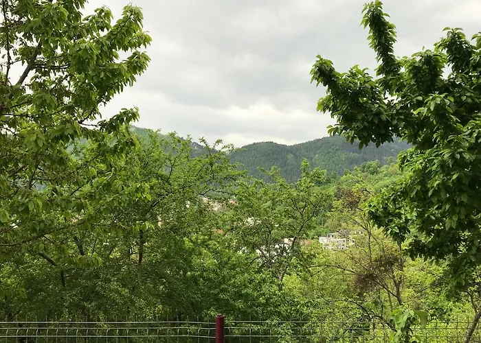 Calea Poienii Penthouse