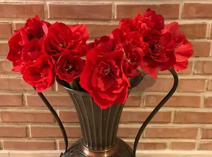 Calea Poienii Penthouse Apartment *